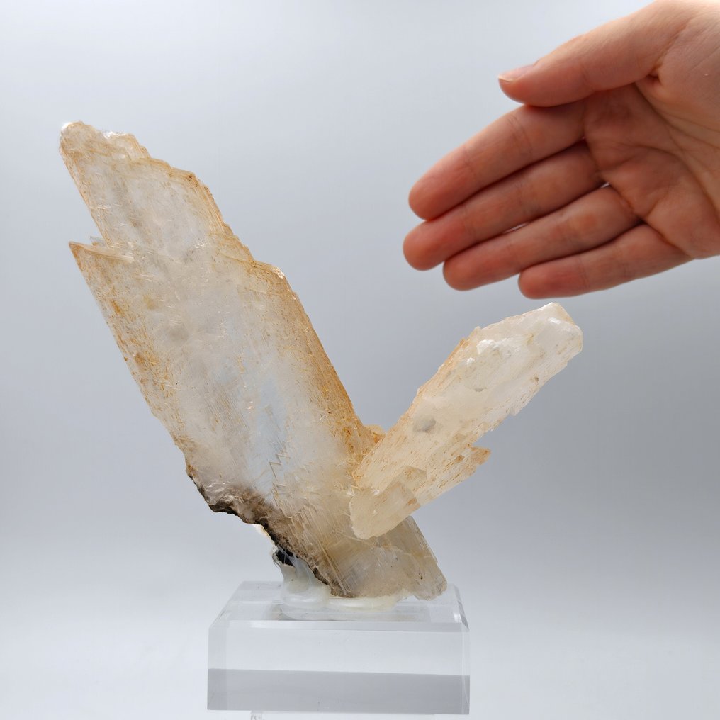 18厘米的大型水晶，GESSI 橙色，罗马尼亚 水晶 - 高度: 185 mm - 宽度: 122 mm- 320 g #1.0