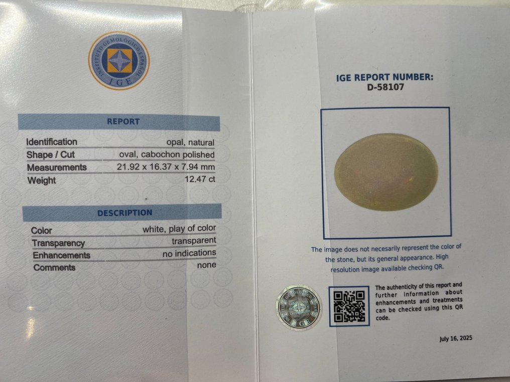 Biały Opal - 12.47 ct - Instituto Gemólogico Español (IGE) - Farba gra #2.1