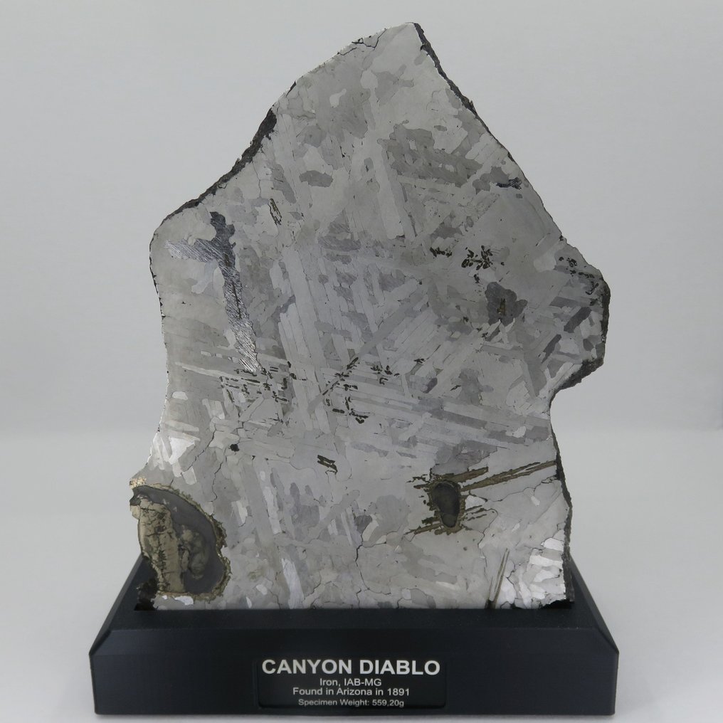 Canyon Diablo meteorite Slice - Height: 18 cm - Width: 14 cm - 559.2 g - (1) #1.0