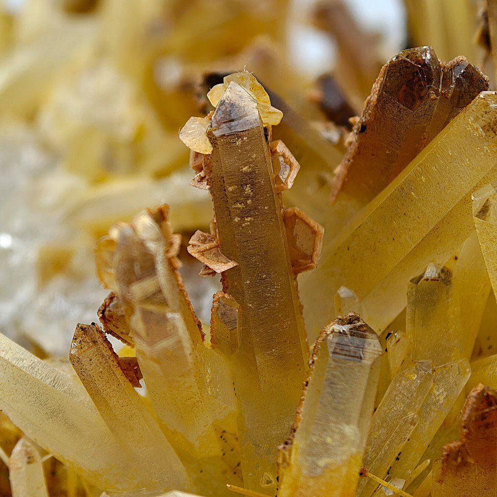 Fantastic yellow quartz RICCIO with limonite, calcite, and siderite Crystals on matrix - Height: 109 mm - Width: 92 mm- 319 g #3.2