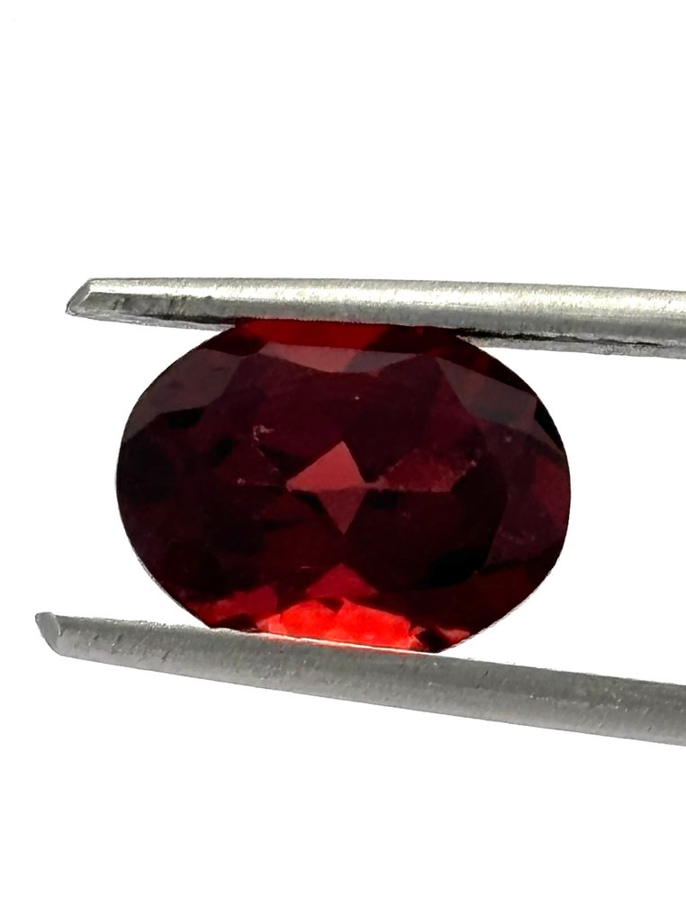 2 pcs Czerwony Rodolit - 4.83 ct - Instituto Gemólogico Español (IGE) #1.0