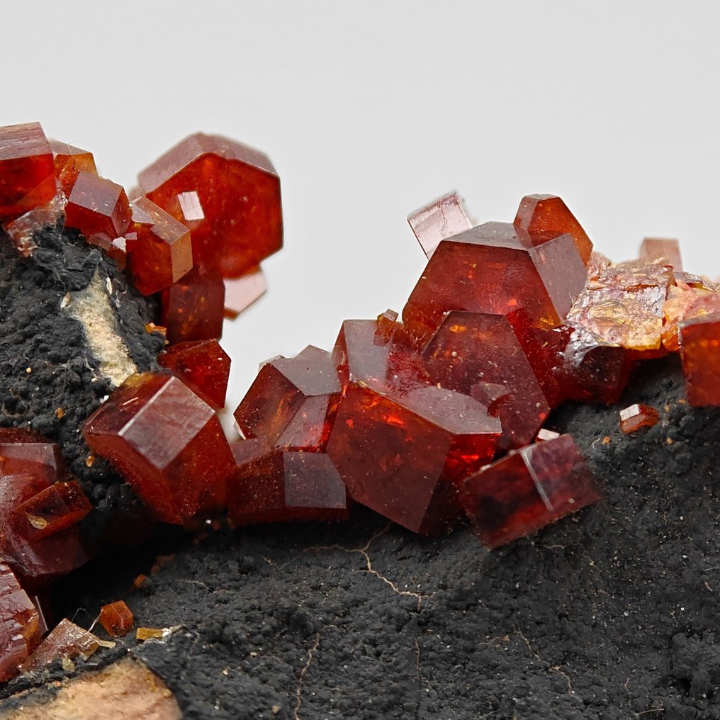 Rare and large Vanadinite on black Goethite, unique! Crystals on matrix - Height: 171 mm - Width: 105 mm- 948 g #2.1