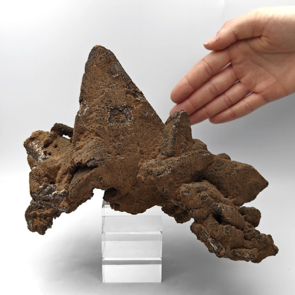 Very rare smithsonite after calcite, hollow, Sardinia. Crystals on matrix - Height: 224 mm - Width: 160 mm- 1.42 kg #4.3