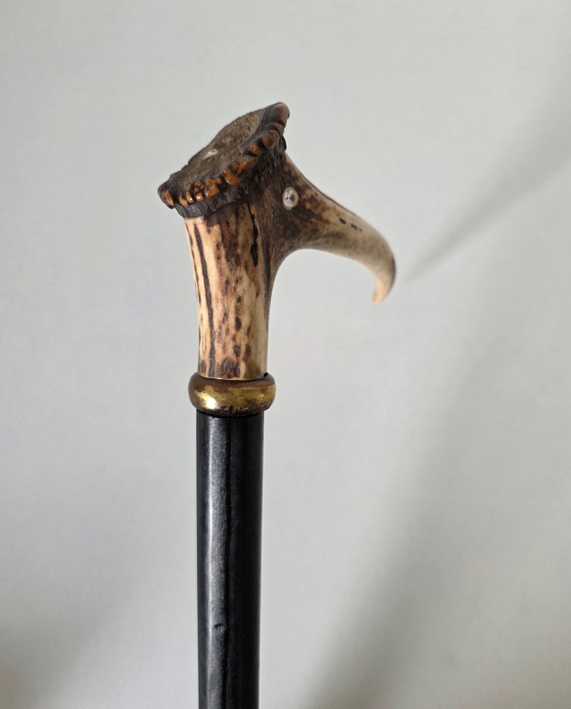 Exclusieve Walking stick - Hertshoorn, Hertengewei, around 1900. #2.1