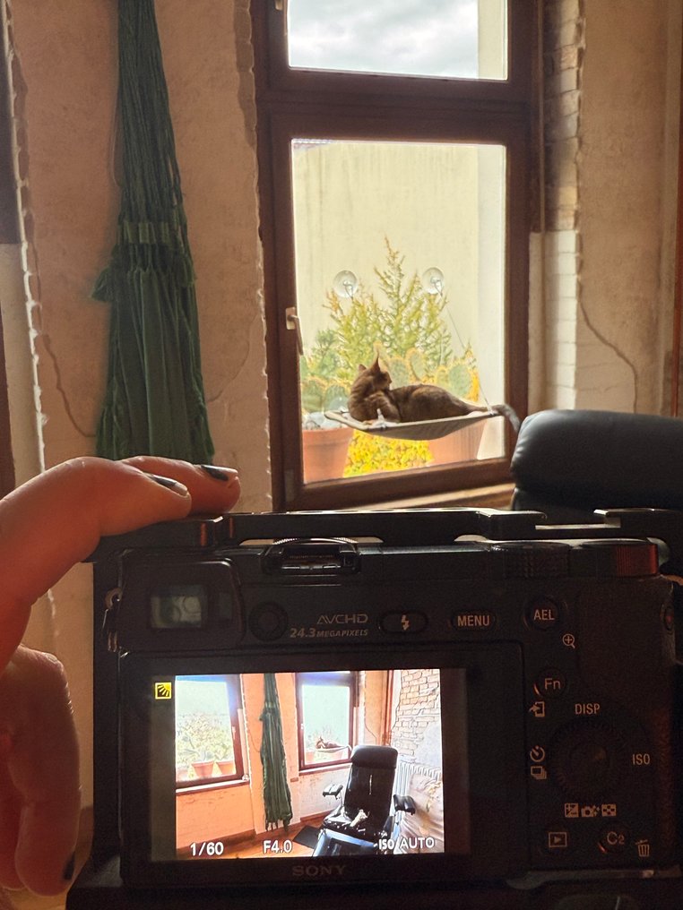 Sony A6000 Mirrorless camera #2.1