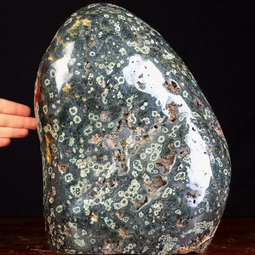 Green Orbicular Jasper - Large Oceanic Green Jasper in Free Form - Height: 320 mm - Width: 230 mm- 15.4 kg #1.0