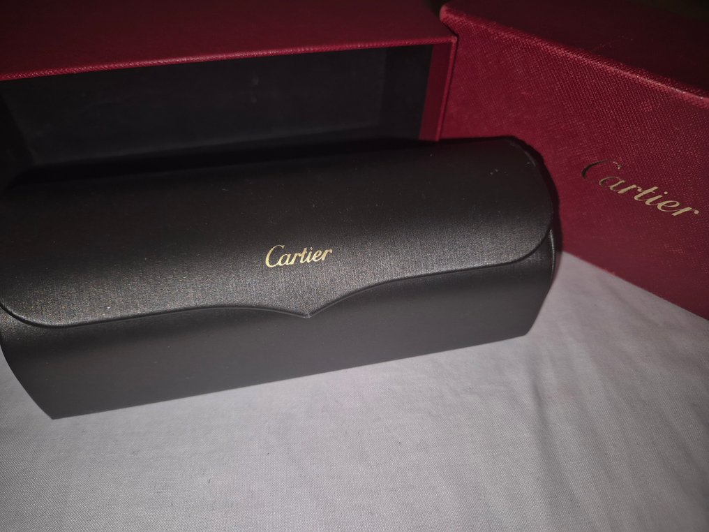 Cartier - CT0265S - 太阳镜 #4.3