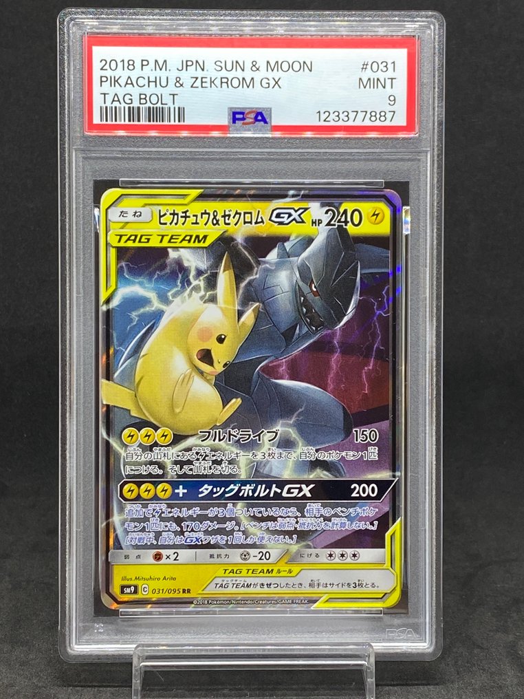 Pokémon Graded card - Pikachu & Zekrom GX #031/095 RR - PSA 9 - Sun & Moon #1.0
