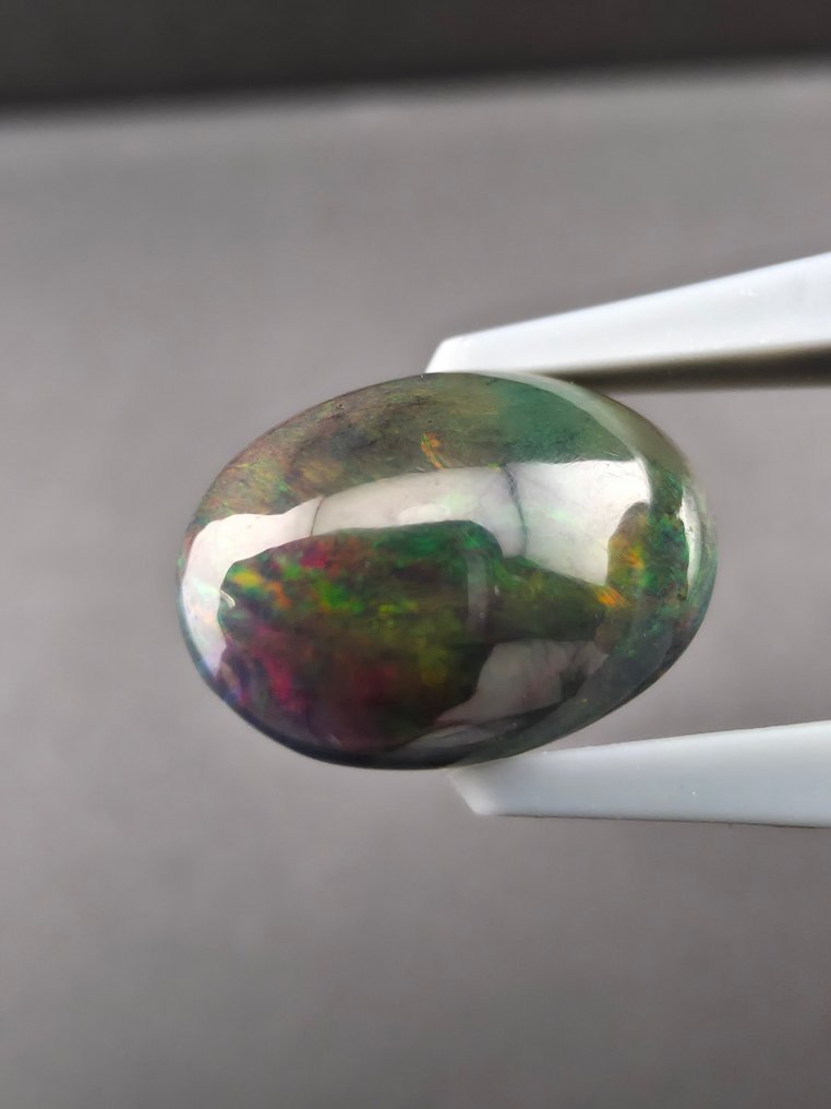 2,40ct czarny opal Kaboszon - Wysokość: 12 mm - Szerokość: 8.5 mm- 0.48 g #1.0
