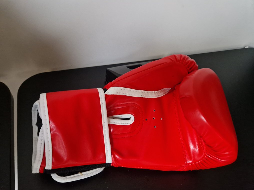 Tyson Fury - Boxing glove  #2.1