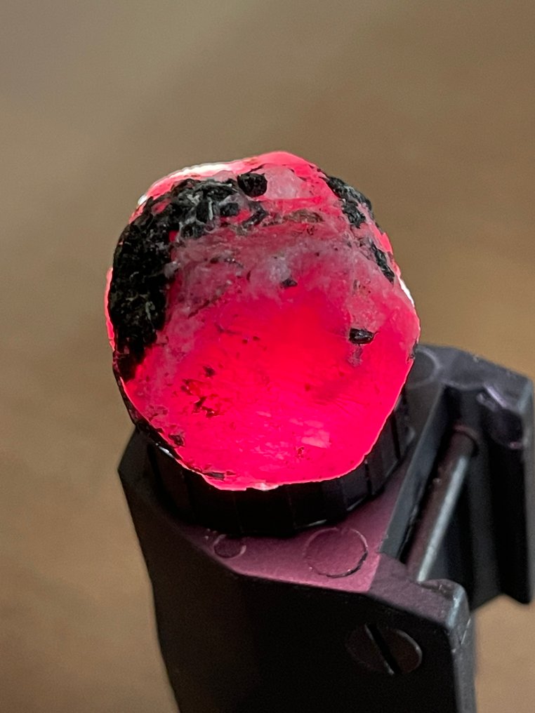 Ruby 真正的宝石！令人惊叹的125.5克拉莫桑比克巨型血红宝石。宏伟的水晶。天然，100%特别。 - 高度: 22 mm - 闊度: 21 mm- 25.1 g #3.2