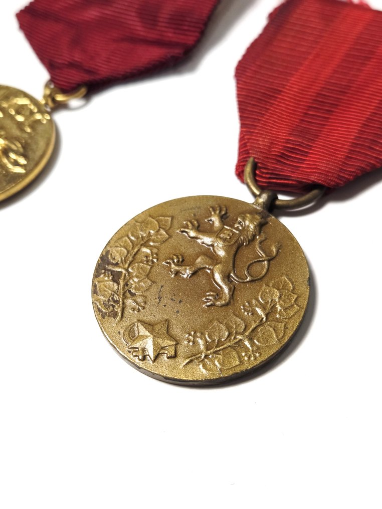 Τσεχοσλοβακία - Στρατιωτικό μετάλλιο - Μεταλλία από την Τσεχοσλοβακία. #2.1