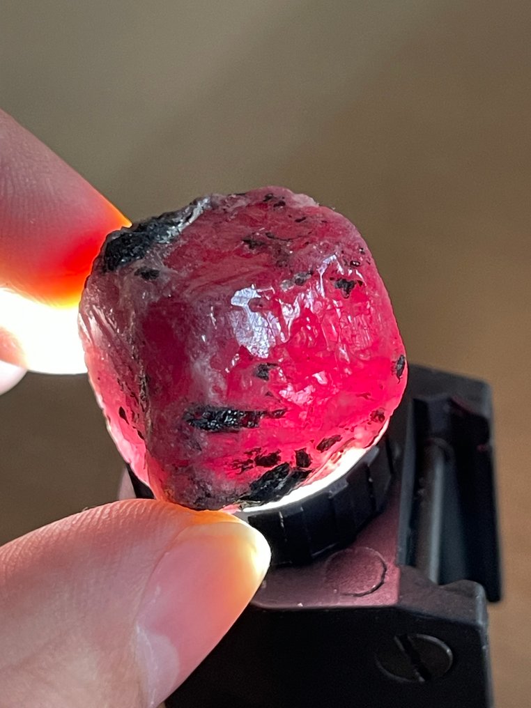 Ruby 真正的宝石！令人惊叹的125.5克拉莫桑比克巨型血红宝石。宏伟的水晶。天然，100%特别。 - 高度: 22 mm - 闊度: 21 mm- 25.1 g #1.0