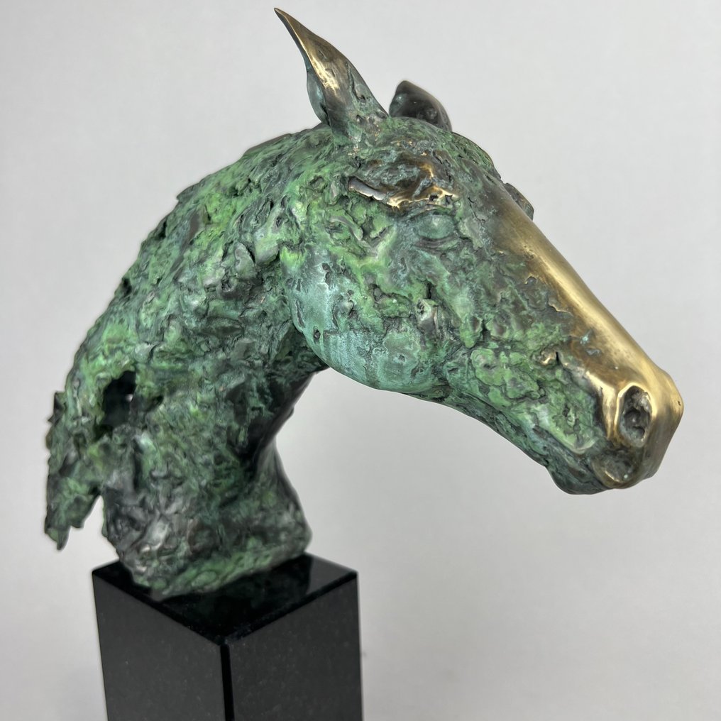 J. Zak (XX-XXI) - The horse. Large, bronze, 7kg #3.2