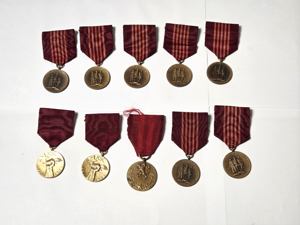 Τσεχοσλοβακία - Στρατιωτικό μετάλλιο - Μεταλλία από την Τσεχοσλοβακία. #1.0