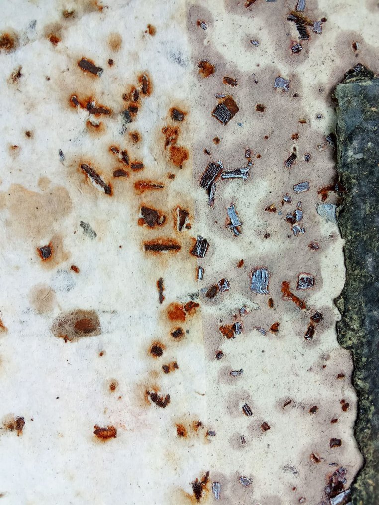 Renata Giannelli - NUDO #3.2