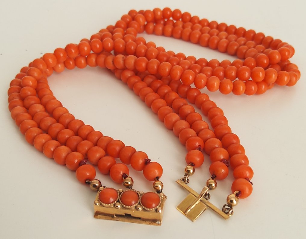 Chain - 14 kt. Yellow gold - Salmon / Red Coral #2.1