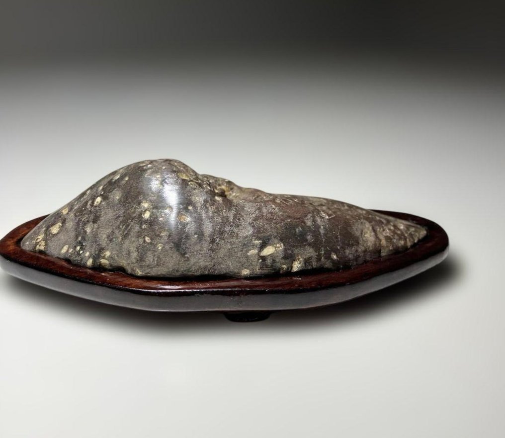 日本水石——带木制台座的景观石 - 20世紀早期（一戰期）  (沒有保留價) #2.1