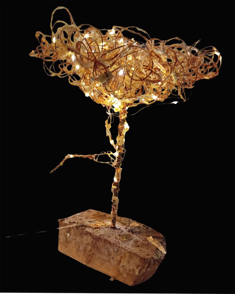 Renata Giannelli - FIORE DI LUCE #2.1