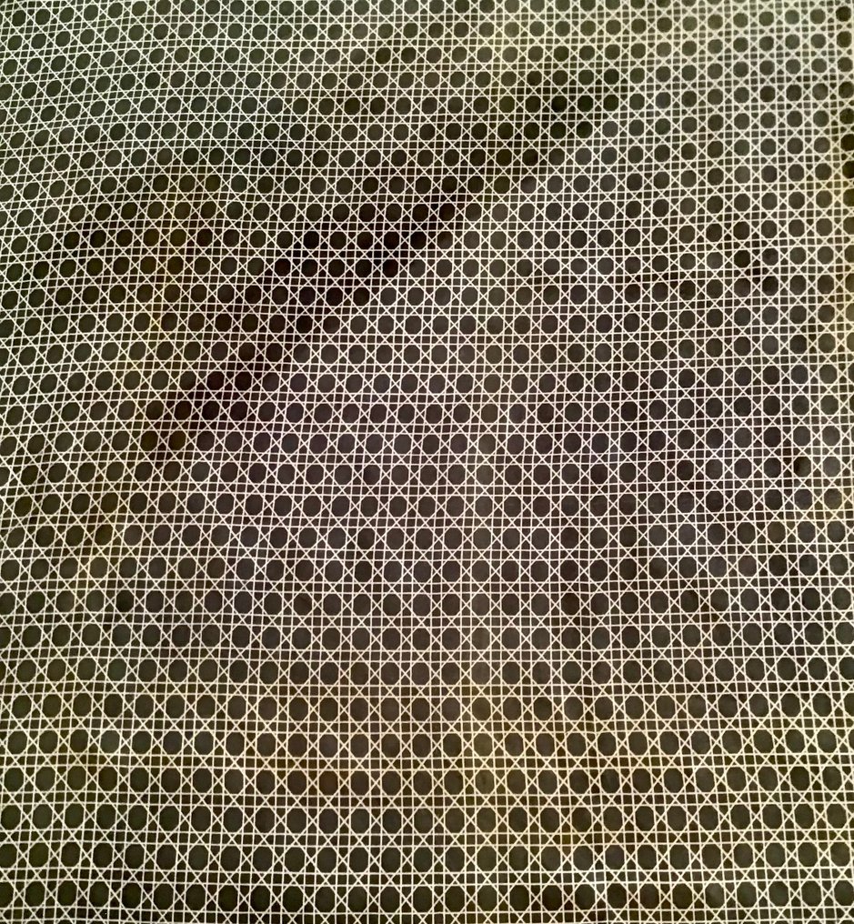 Hermès - autre carré hermès canage - Φουλάρι #2.1