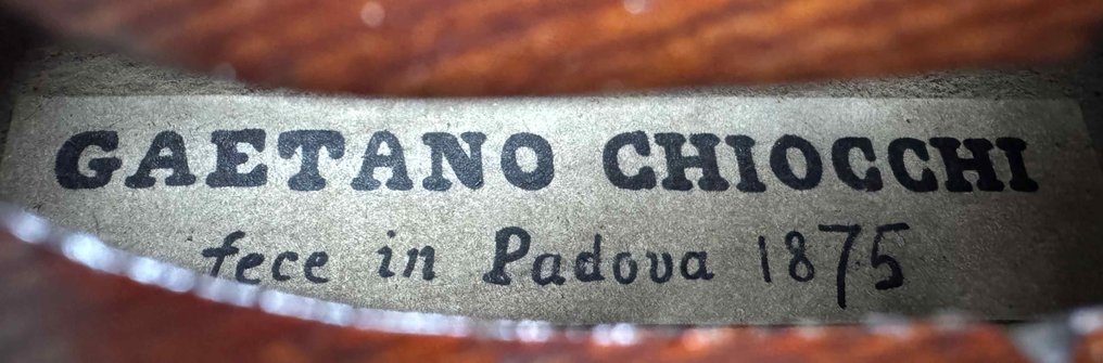 Labelled Gaetano Chiocchi -  - Violin - Unknown #2.1