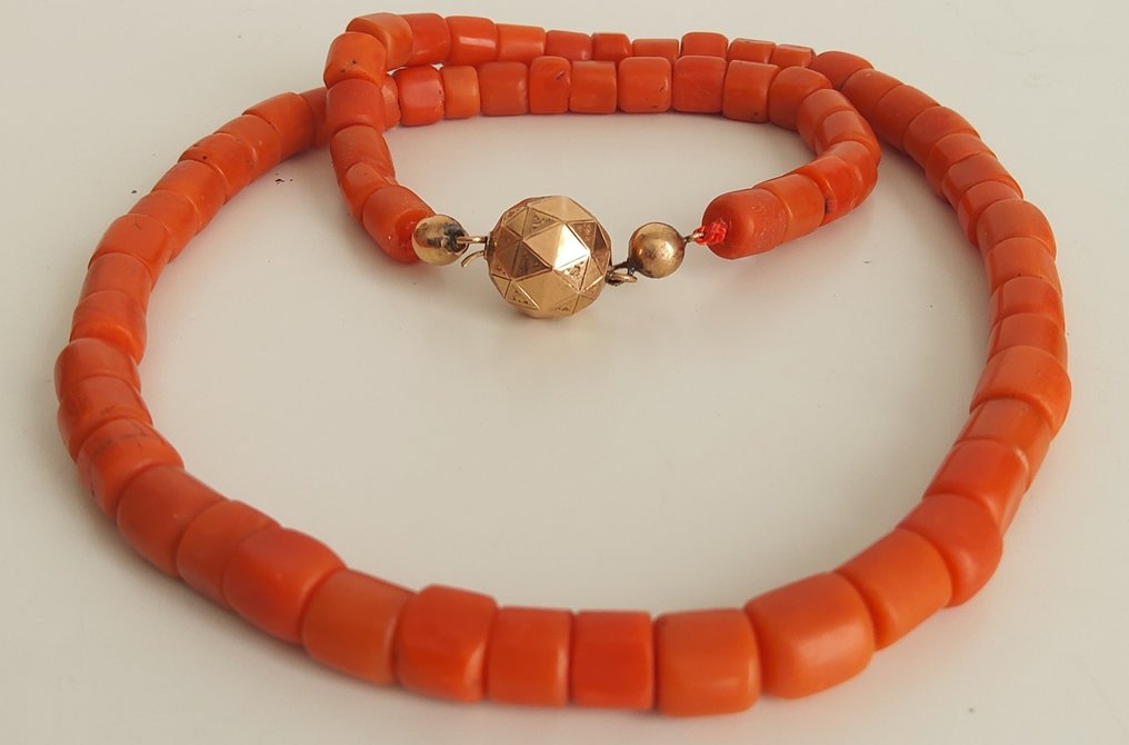 链 - 14K包金 黄金 - 珊瑚 #1.0