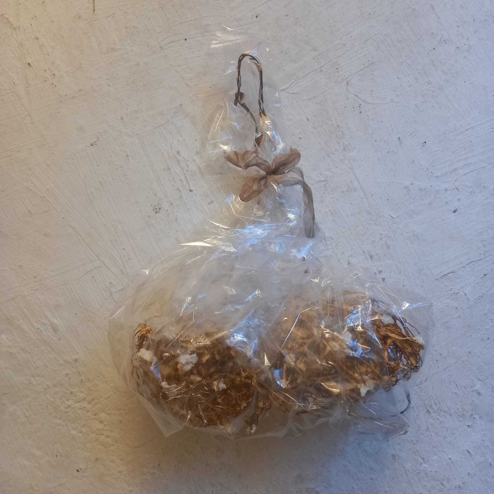 Renata Giannelli - CILIEGINE #3.2