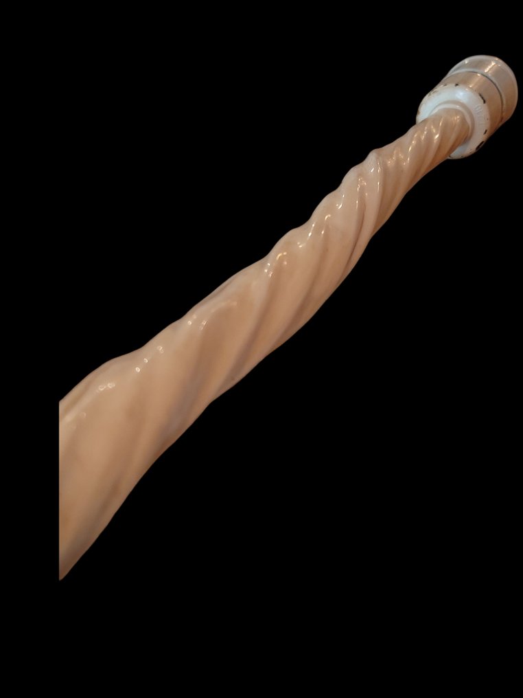 Rostro di narvalo - Supporto per lampada - Inuit Dente - Monodon monoceros - Greenland - with proof of legal origin - 41 cm - 0 mm - 0 mm- CITES Appendica II - Allegato B nell'UE #3.2