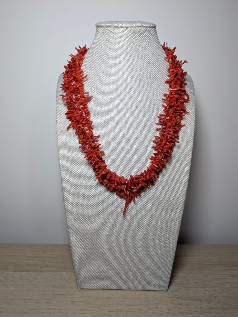 珊瑚 - 黄铜色 - 项链 #1.0