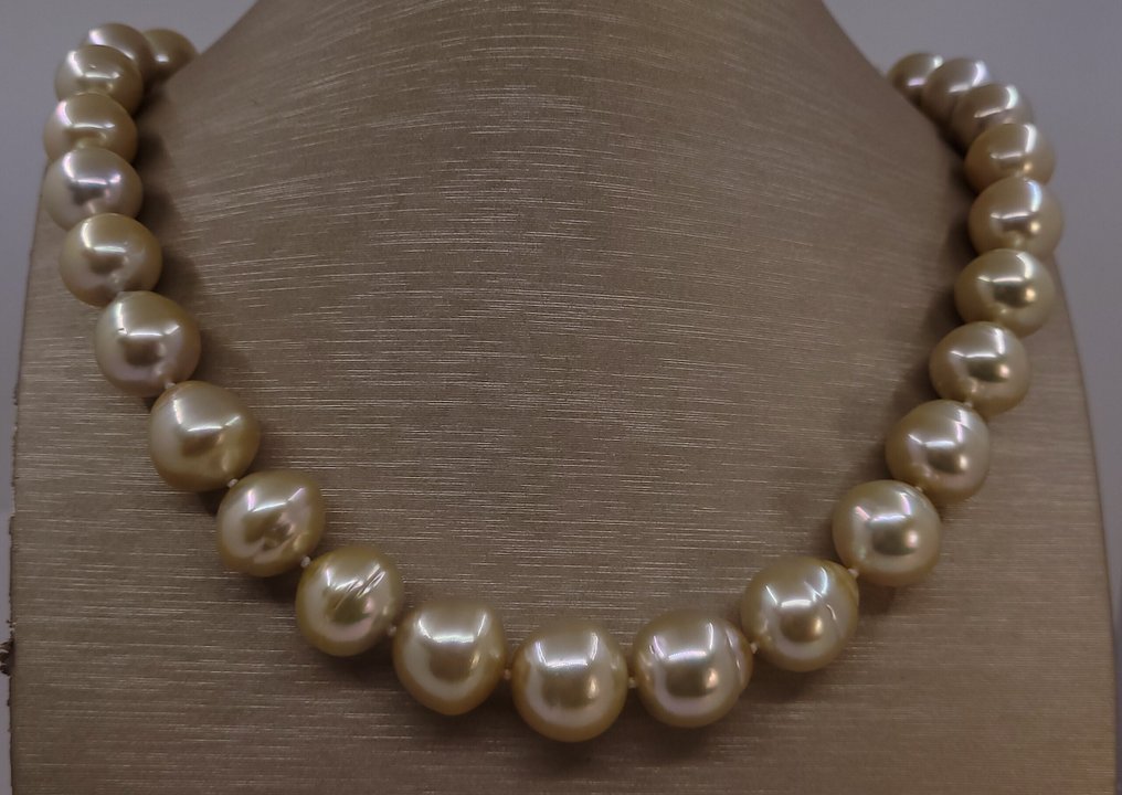 Collier - 14 carats Or jaune, Perles d'eau de mer dorées certifiées PSL - 12,0x14,6 mm #1.0