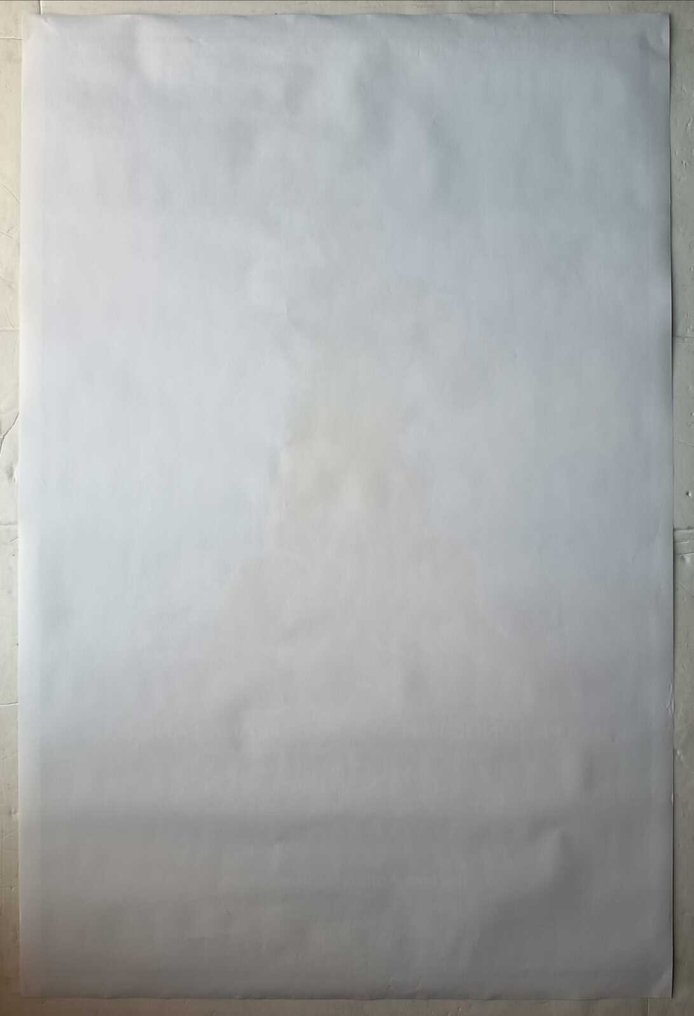 Drew Struzan - Masters of The Universe (MOTU) - Rare !! Original 1987 US Theatrical Release Poster - Style A - MINT - No Reserve #1.0