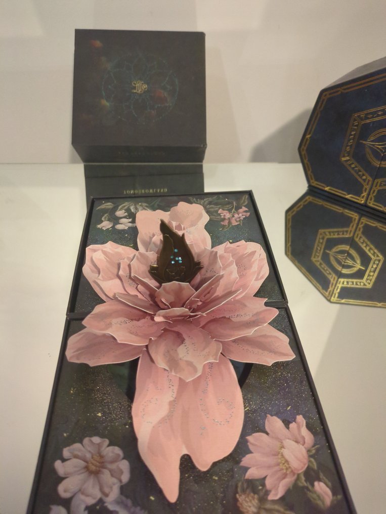 Tomorrowland - Box Set, 8 treasure cases with 8 bracelets - Limited edition #3.2