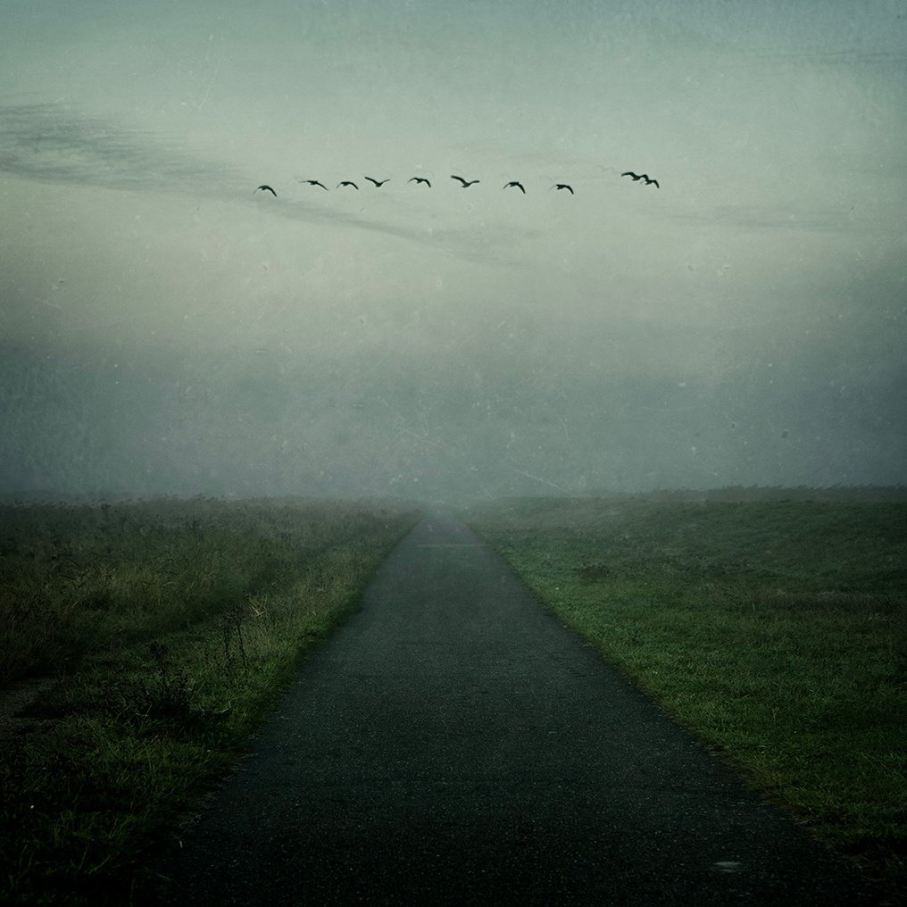 Tessa Posthuma de Boer - Walks #1 #1.0