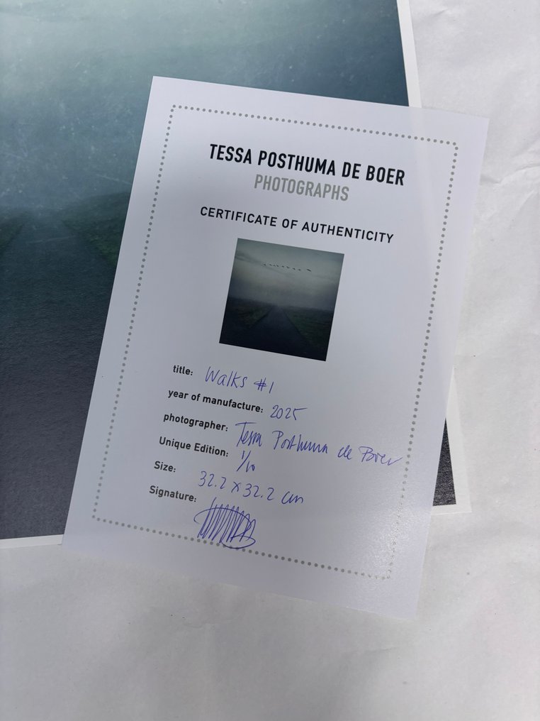 Tessa Posthuma de Boer - Walks #1 #2.1