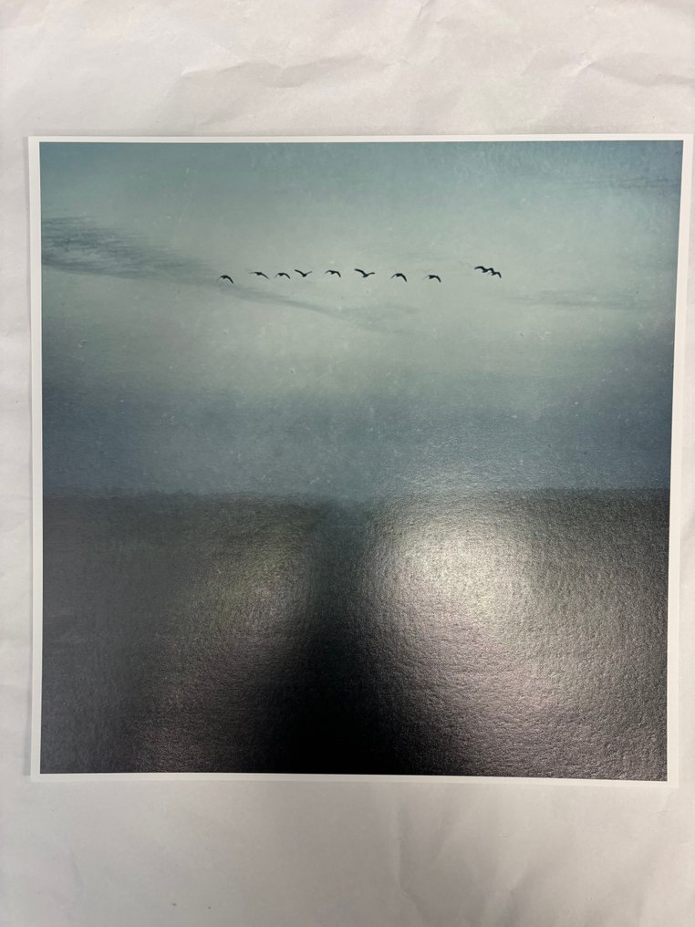 Tessa Posthuma de Boer - Walks #1 #4.3