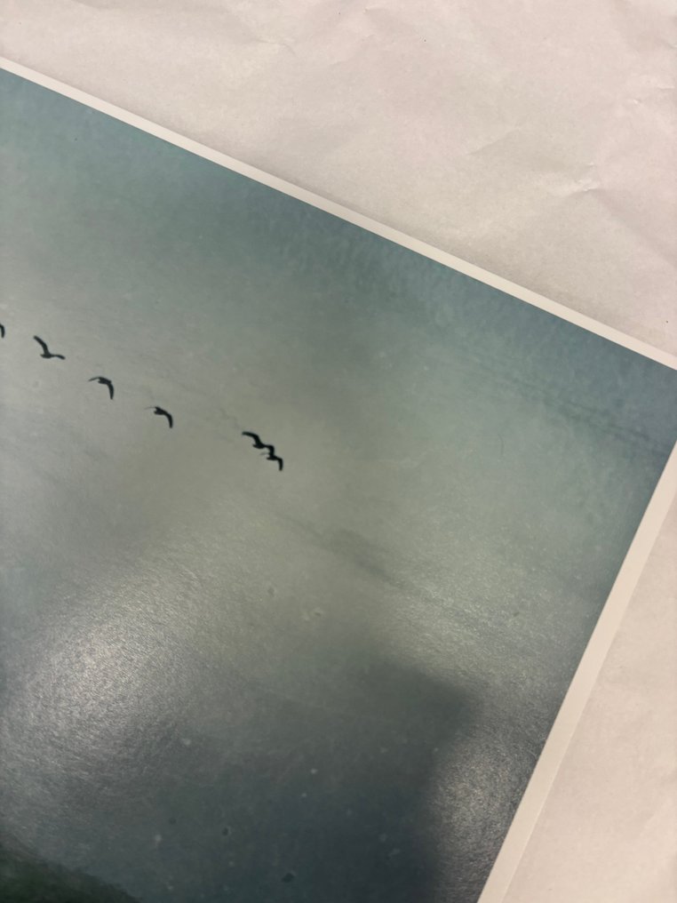 Tessa Posthuma de Boer - Walks #1 #3.2