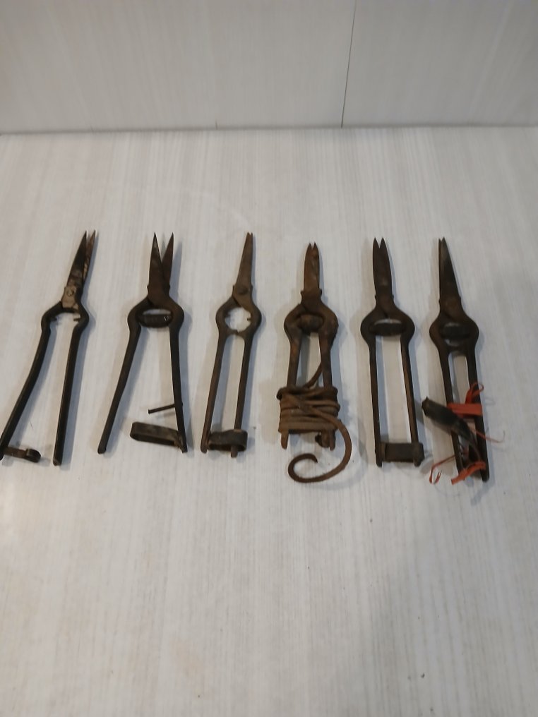 Munkaeszköz (7) - vintage vas metszőolló #1.0