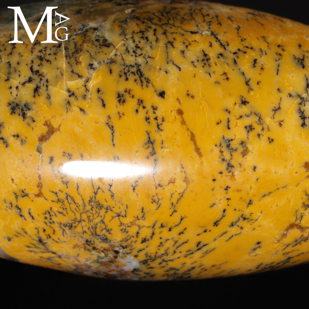 Shiva Lingam in Dendritic Opal – Symbol of Connection with the Earth. - Height: 150 mm - Width: 105 mm- 811 g #3.2