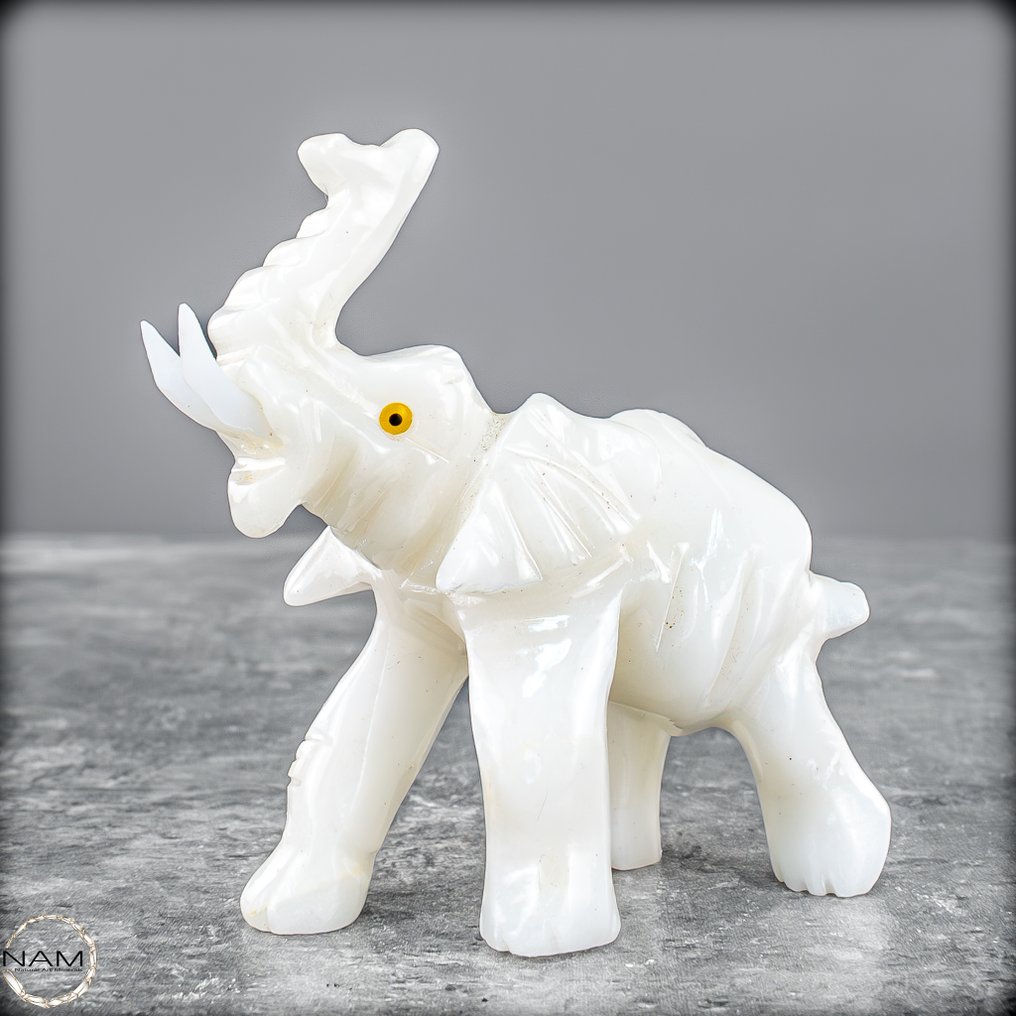 Éléphant en calcite exclusif – Force, grâce et lumière réunies dans un chef-d'œuvre de pierre.- 52.25 g #1.0