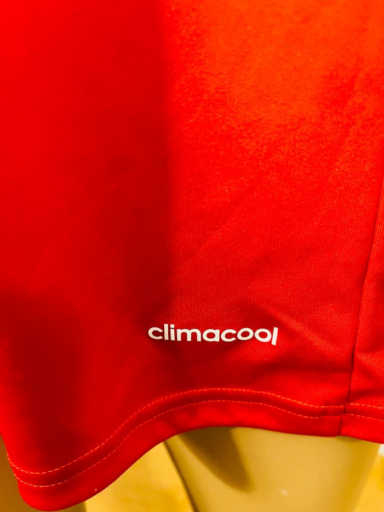 Southampton FC - Αγγλικό Πρωτάθλημα Ποδοσφαίρου - 2013 - Φανέλα ποδοσφαίρου #4.3