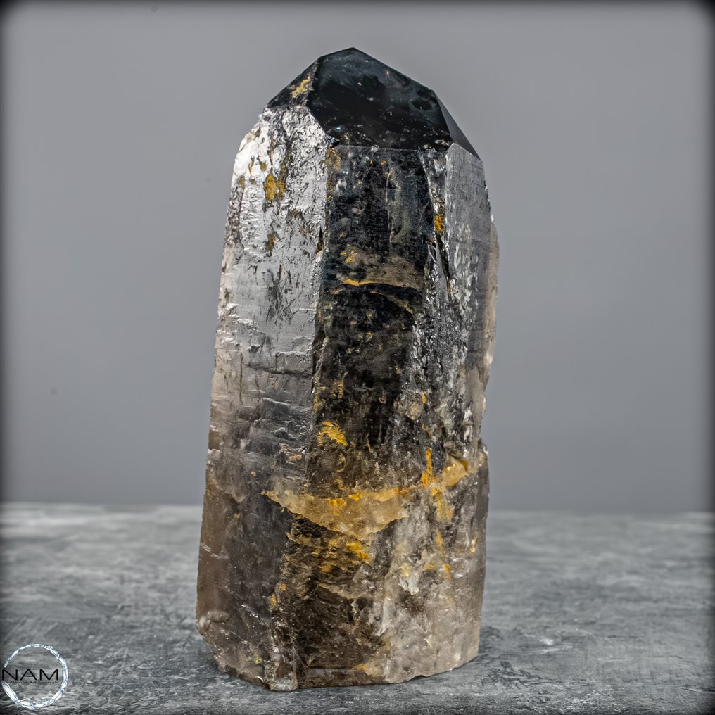 Natural smoky quartz obelisk Strength and elegance in raw form, from Brazil.- 607.88 g #1.0