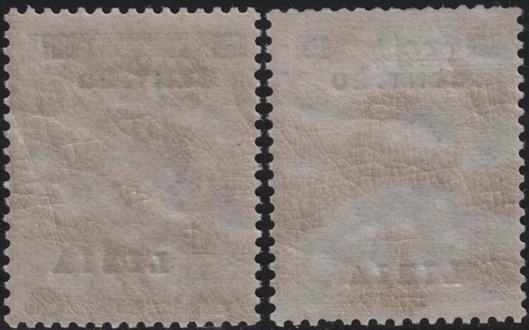 Libye italienne 1916 - 20 c. sur 15 c. gris noir les 2 types avec superposition violette et noire Sass 17 intact MNH** #1.0