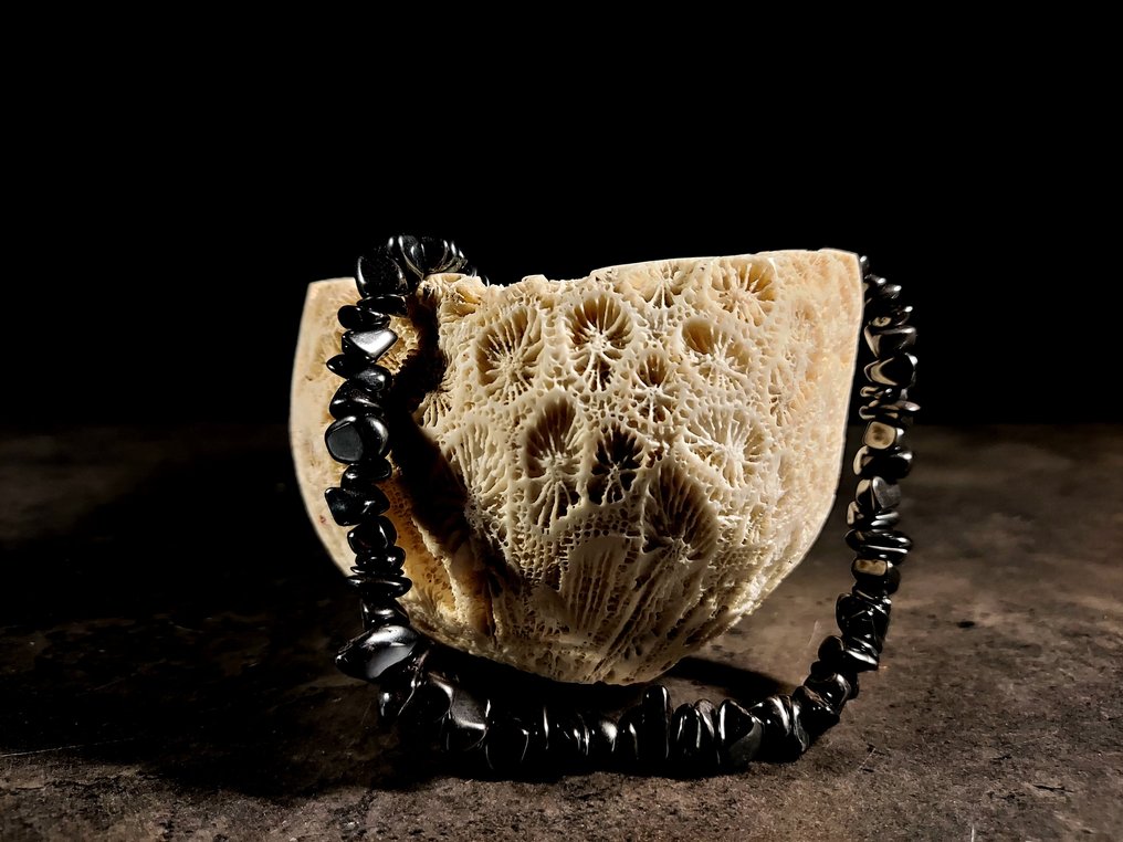 corail fossile + collier en ématite - Animal fossilisé - 75 mm - 250 mm #3.2