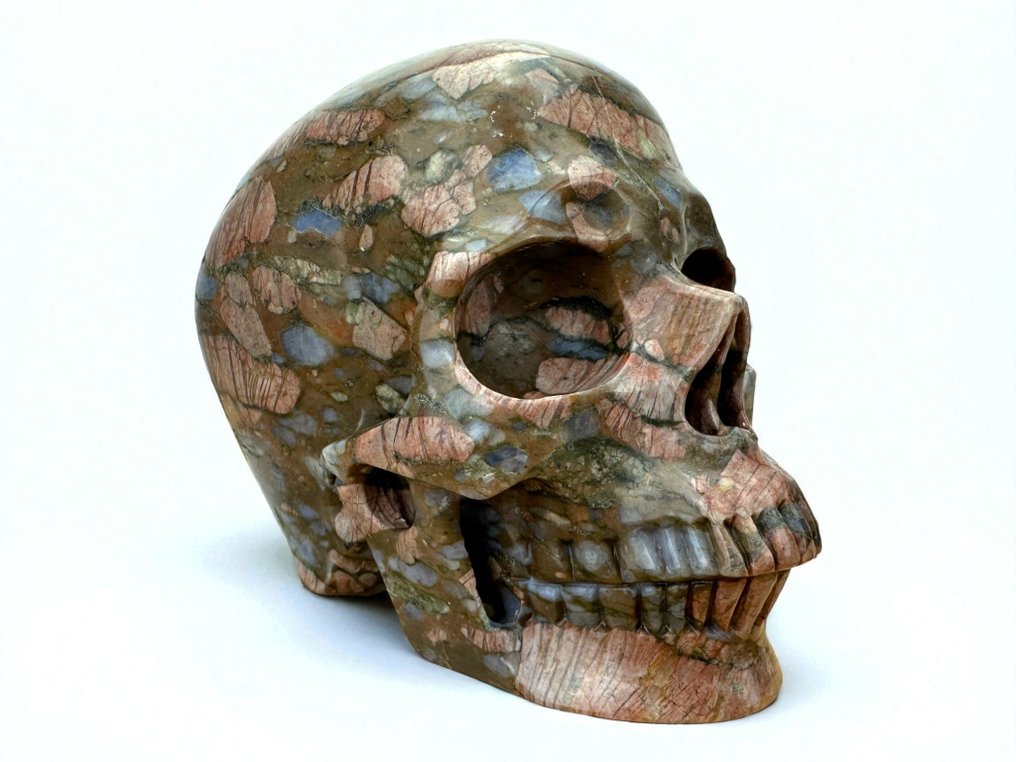 骷髅蓝色蛋白石 雕刻的颅骨 - - - 9.5 cm - 8.5 cm - 12 cm - (1) #1.0