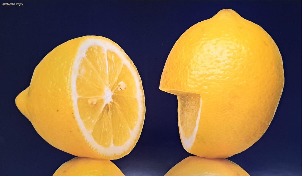 Armando Testa - ESPRIMIAMOCI DI PIU' - Δεκαετία του 1990 #1.0