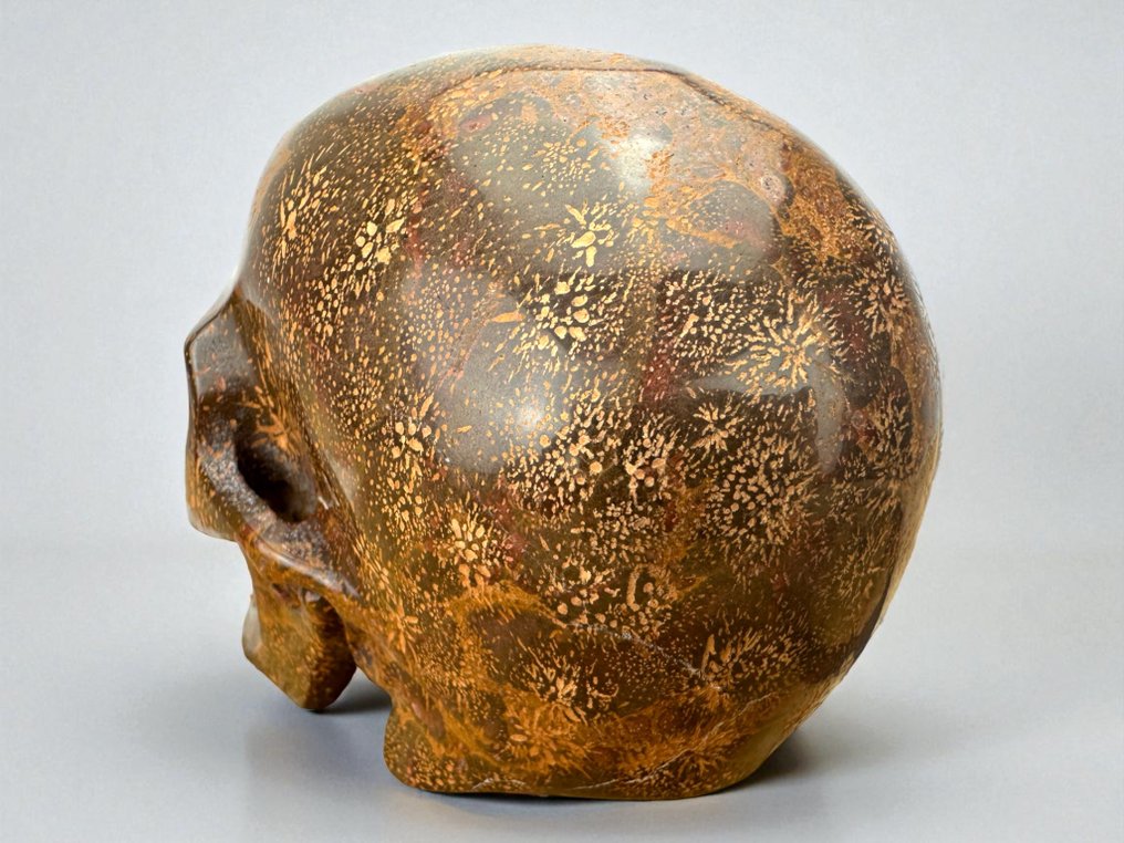 Star Burst Jasper „Museum-Qualität“ Geschnitzter Schädel - jasper - 9.5 cm - 8.5 cm - 12 cm - (1) #4.3