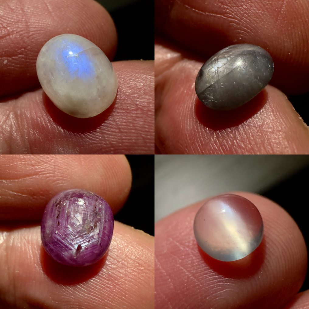 Sin precio de reserva - 4 pcs  Piedra luna (adularia)  - 13.01 ct - Sin informe de laboratorio #1.0