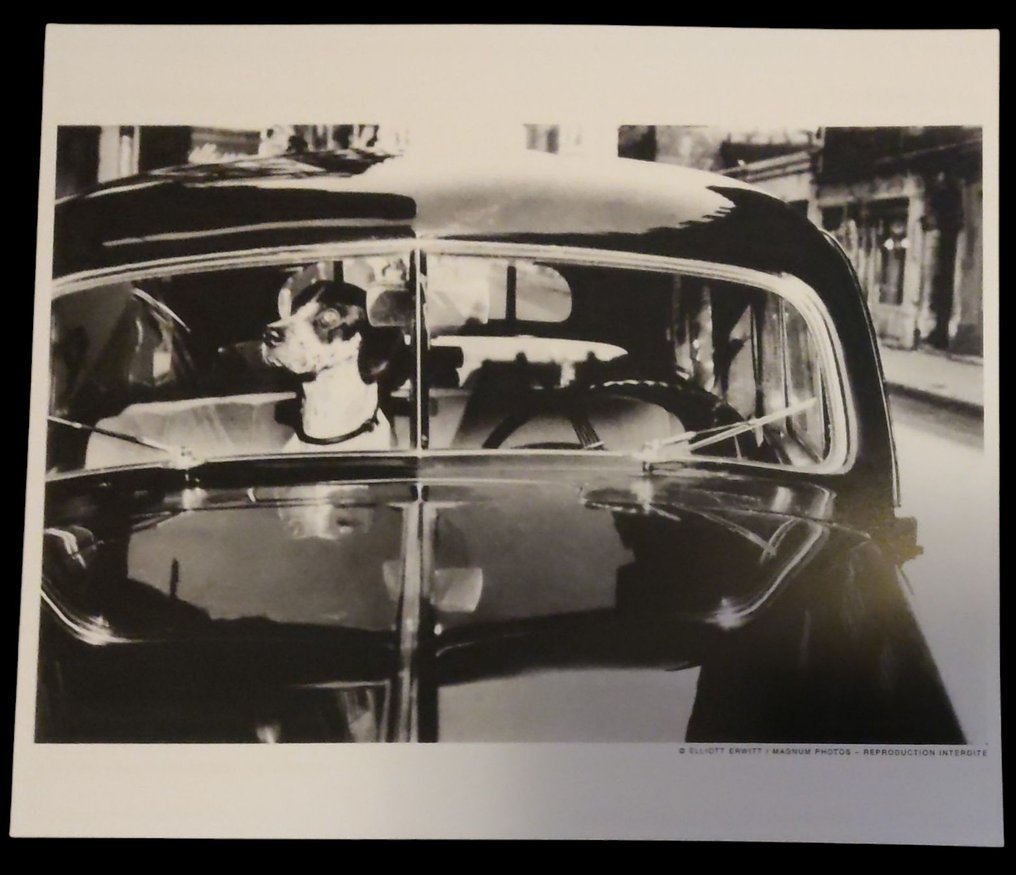 Elliott Erwitt (1928–2018) - Paris, France, 1951 #1.0