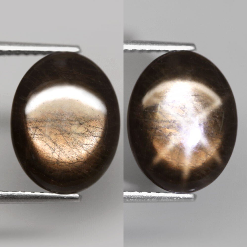 χωρίς τιμή ασφαλείας - 1 pcs Αστροζάφειρο - 6.73 ct - Δεν υπάρχει εργαστηριακή έκθεση #1.0