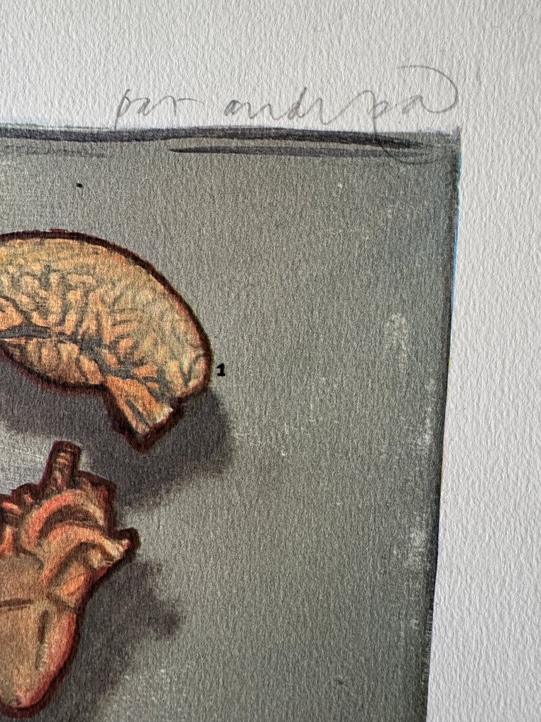 Pat Andrea (1942) - Olympic Centennial, 1992 #1.0